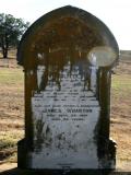 image of grave number 897505